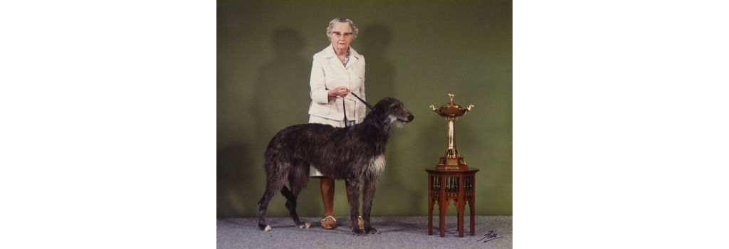 Miss A. N. Hartley with her prize-winning Deerhound, Champion Betsinda of Rotherwood - with Cruft's Gold Trophy for the Hound Group. Date: 1982