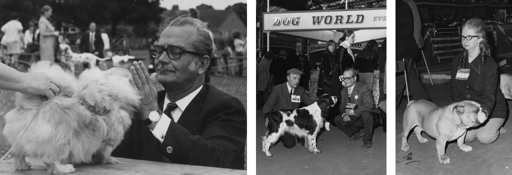 Mr Curnow judging at the Dog Centre Birthday Show