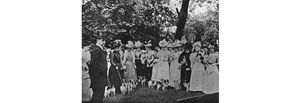 The Judge of the Exhibition of Japanese Spaniels. Date: 1898