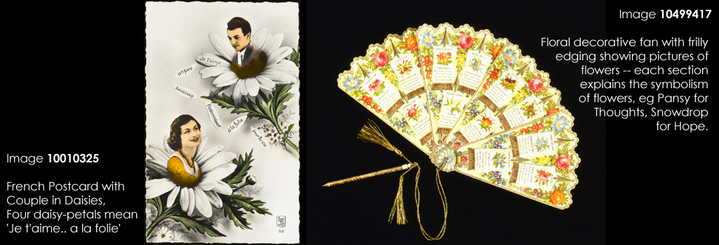 Floral decorative fan with frilly edging showing pictures of flowers -- each section explains the symbolism of flowers, eg Pansy for Thoughts, Snowdrop for Hope. Date: c. 1910s