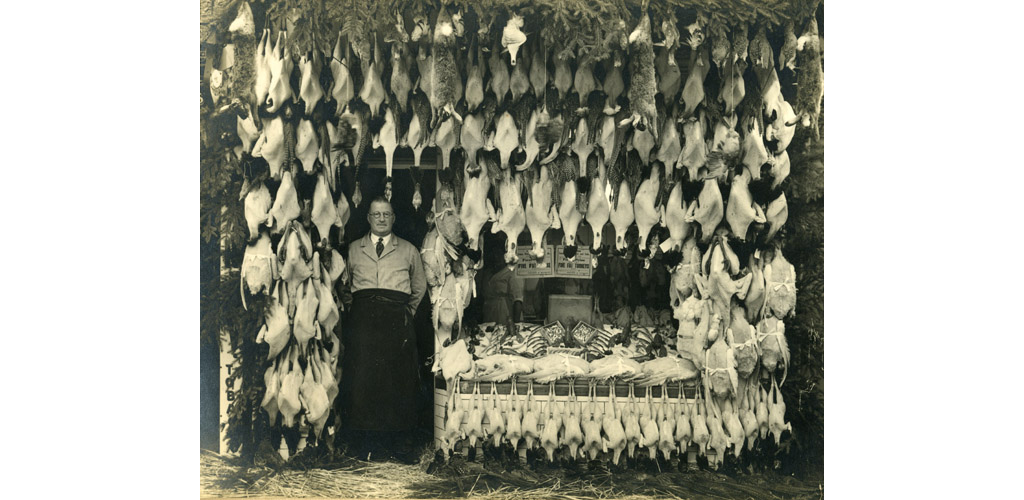 Extraordinary array of game and fish with local butcher