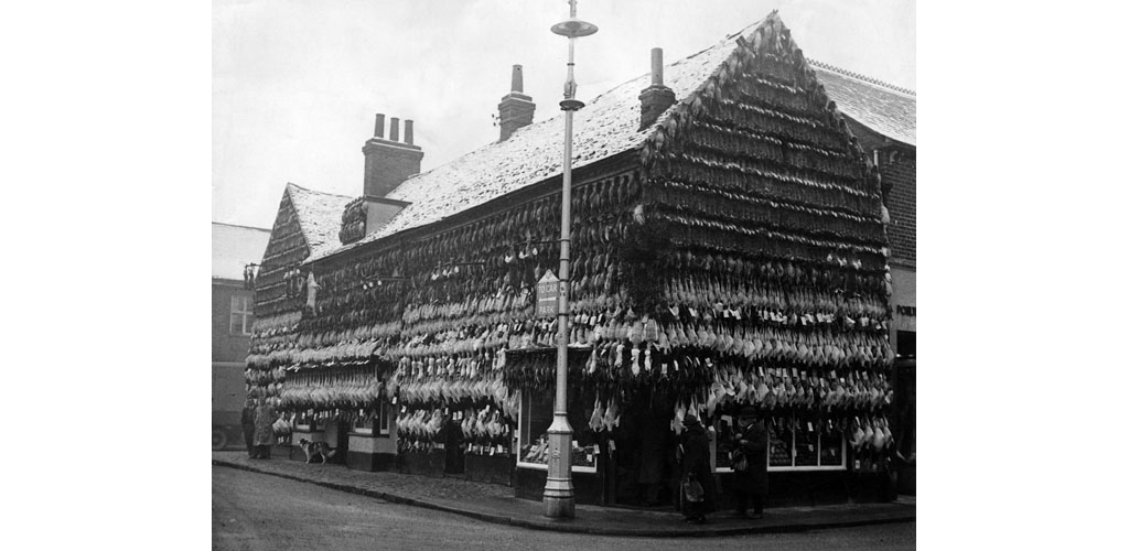Turkeys galore outside a butcher in High Wycombe