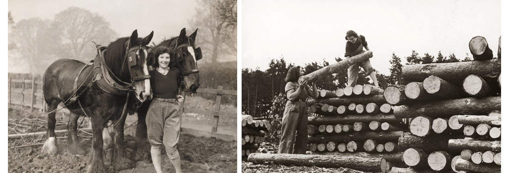 Land Girl, Pauline Bell, who used to be a Civil Service clerk, working with plough horses on a farm during World War II