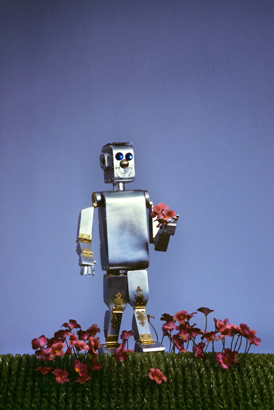 Futuristic silver robot toy walking in flowers.
1980s
