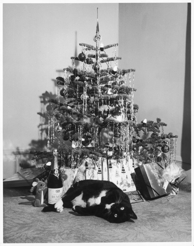 A cute black and white cat ith nice eyes rolls on its back beneath the Christmas tree. Meanwhile, a sensible toy mouse has its eye on the champagne bottle ...
1960s