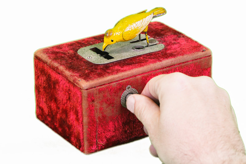 Red velvet automatic pin dispenser box with small budgie and hand demonstrating how to use the box. The bird leans over when the button is pushed.