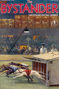 BYSTANDER GREYHOUND RACING NUMBER