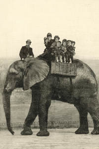Farewell ride on Jumbo