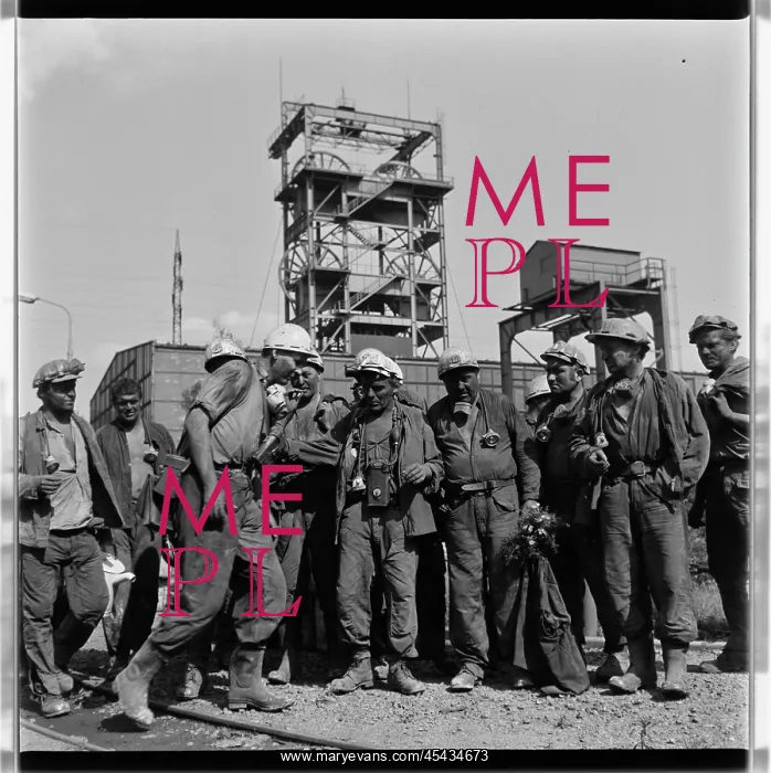 : 1. may mine, miner, miners : 1. may mine, miner, miners