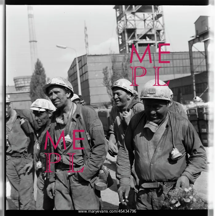 : 1. may mine, miner, miners : 1. may mine, miner, miners