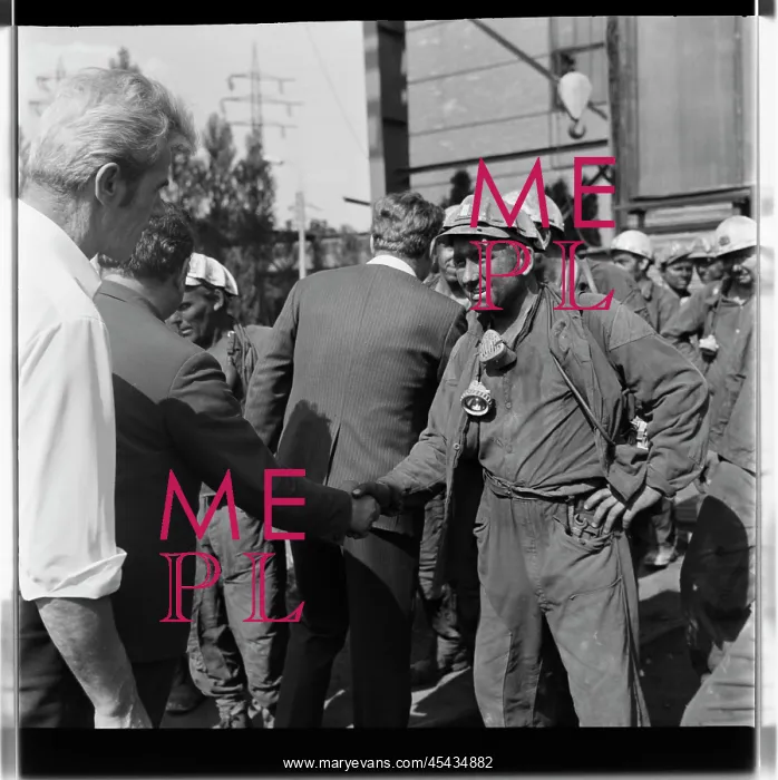: 1. may mine, miner, miners : 1. may mine, miner, miners