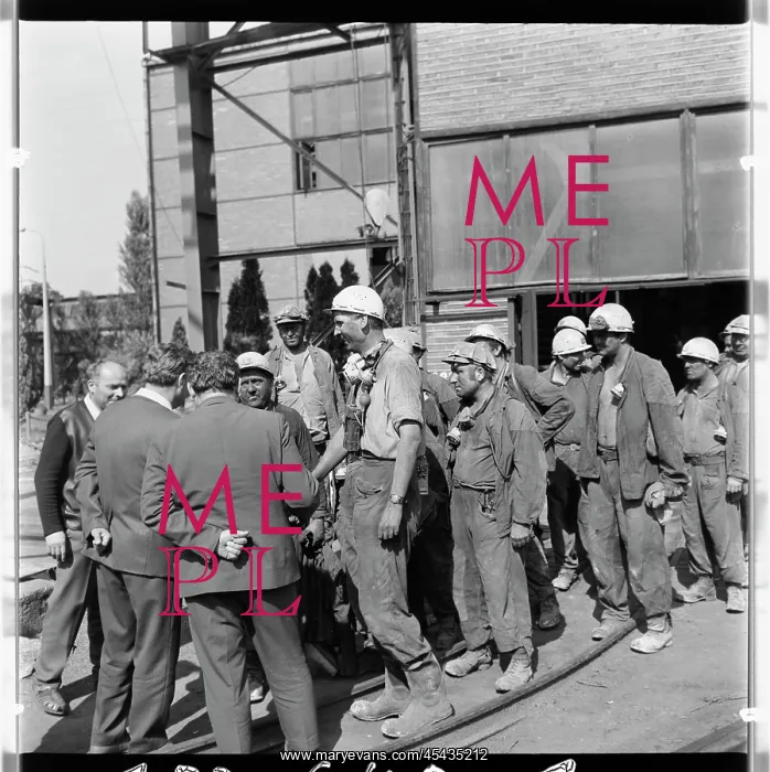 : 1. may mine, miner, miners : 1. may mine, miner, miners