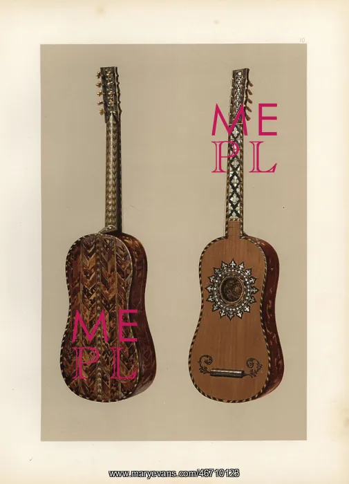 : The 10-string Rizzio guitar in tortoiseshell with ivory : The 10-string Rizzio guitar in tortoiseshell with ivory