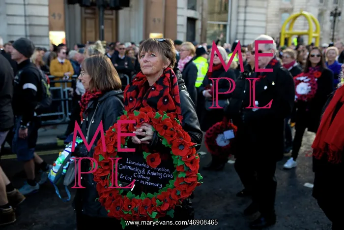 : 100th Anniversary of the 1918 Armistice Day : 100th Anniversary of the 1918 Armistice Day
