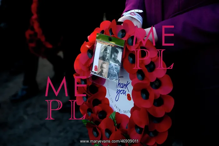 : 100th Anniversary of the 1918 Armistice Day : 100th Anniversary of the 1918 Armistice Day
