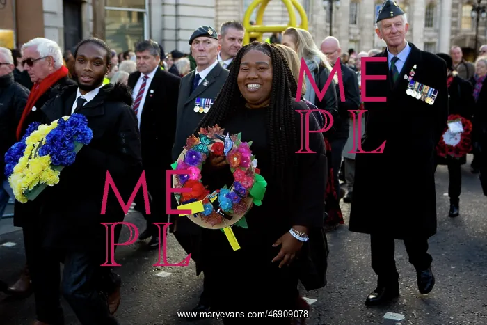 : 100th Anniversary of the 1918 Armistice Day : 100th Anniversary of the 1918 Armistice Day
