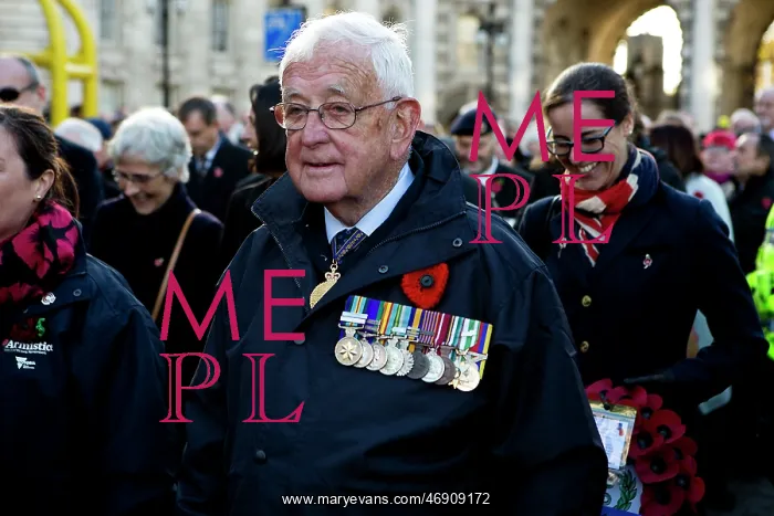 : 100th Anniversary of the 1918 Armistice Day : 100th Anniversary of the 1918 Armistice Day