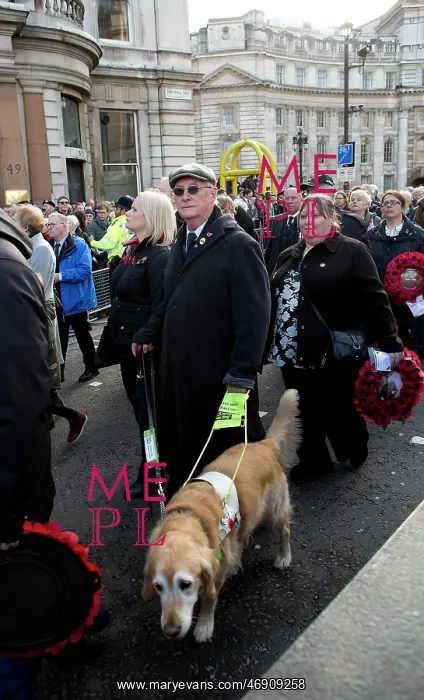 : 100th Anniversary of the 1918 Armistice Day : 100th Anniversary of the 1918 Armistice Day