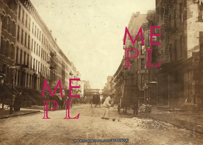 : 107th St. east from Third Ave. NY A centre for willow plu : 107th St. east from Third Ave. NY A centre for willow plu