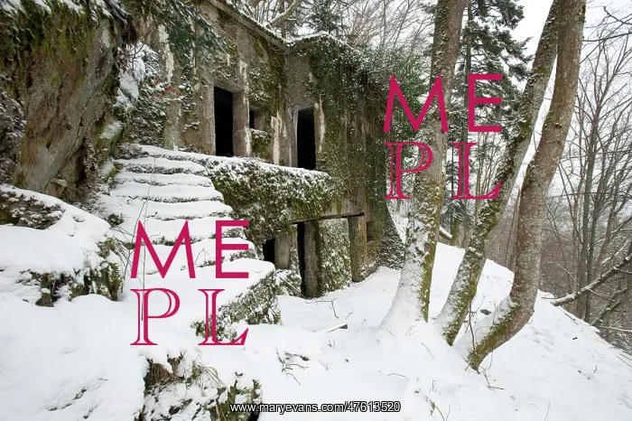 : 124 LIR Barracks - Hartmannswillerkopf : 124 LIR Barracks - Hartmannswillerkopf