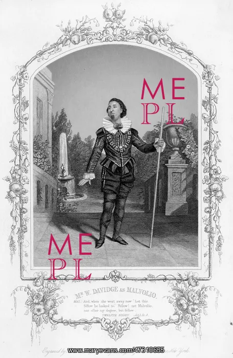 : 12TH NIGHT / MALVOLIO : 12TH NIGHT / MALVOLIO