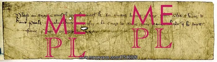  : 14th century passport