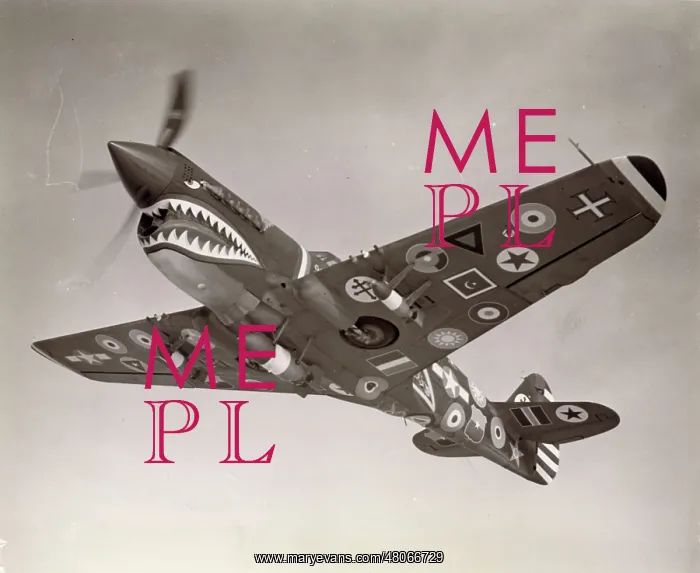 : The 15, 000th Curtiss fighter, a P-40 Warhawk : The 15, 000th Curtiss fighter, a P-40 Warhawk