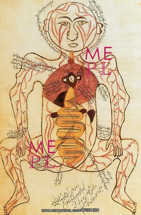 : 15th Century Anatomical Drawing : 15th Century Anatomical Drawing