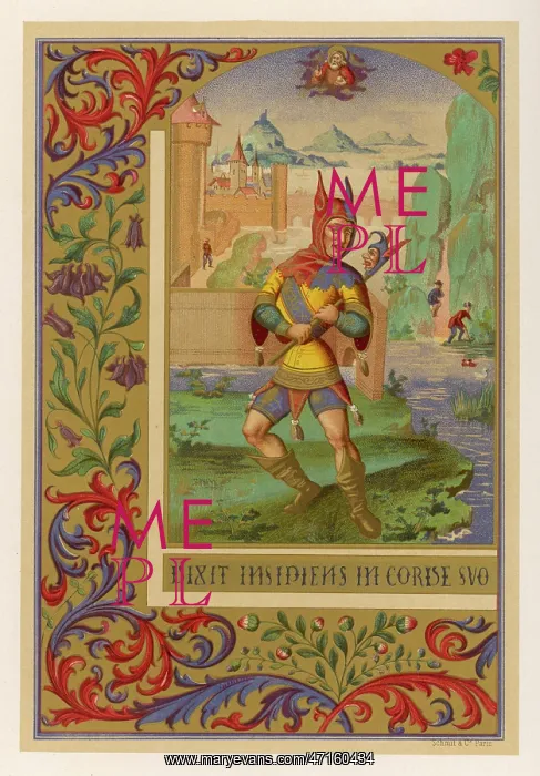 : 15TH CENTURY JESTER : 15TH CENTURY JESTER