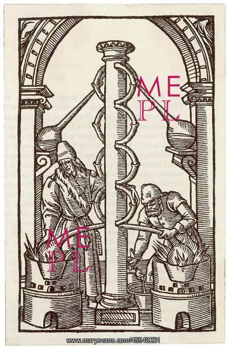 : 16th century Alchemists : 16th century Alchemists