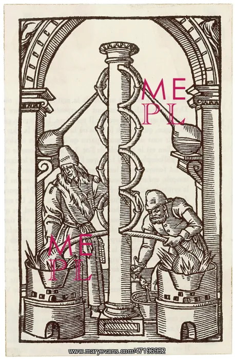 : 16th century Alchemists : 16th century Alchemists