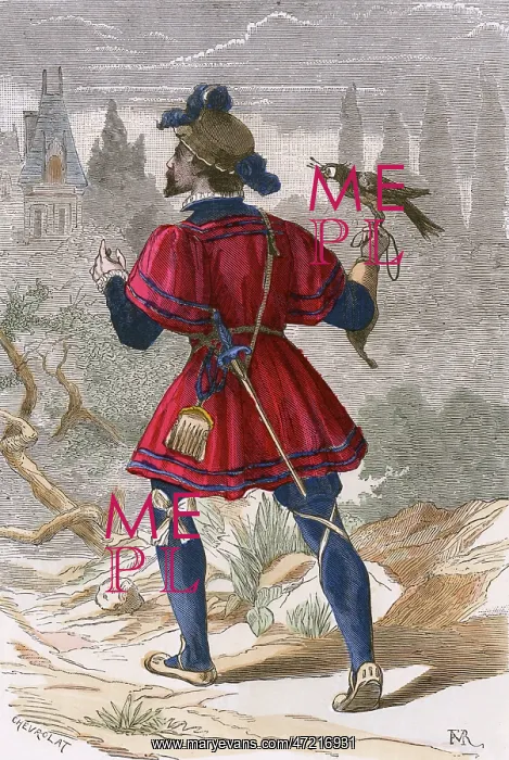 : 16TH CENTURY FALCONER : 16TH CENTURY FALCONER