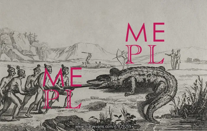 : 16th century French expedition. Florida. Crocodile hunting : 16th century French expedition. Florida. Crocodile hunting