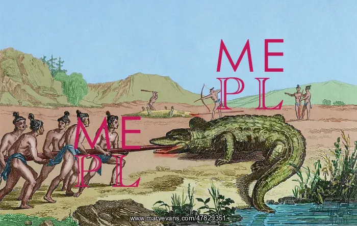 : 16th century French expedition. Florida. Crocodile hunting : 16th century French expedition. Florida. Crocodile hunting