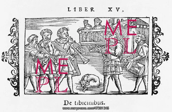 : 16th Century Musicians 2 : 16th Century Musicians 2