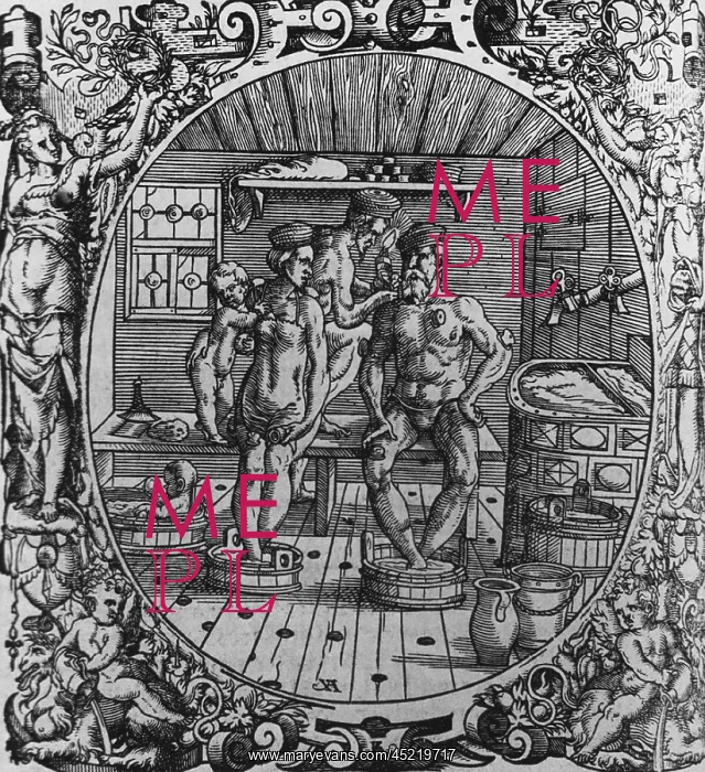 : 16th century scene of therapeutic bathing ? : 16th century scene of therapeutic bathing ?