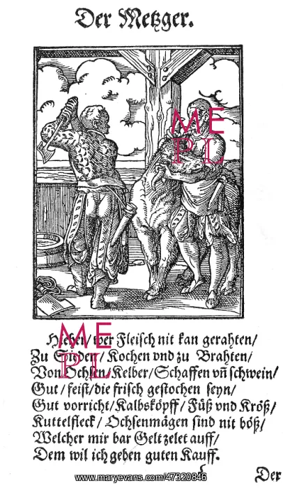  : 16TH CENTURY SLAUGHTER
