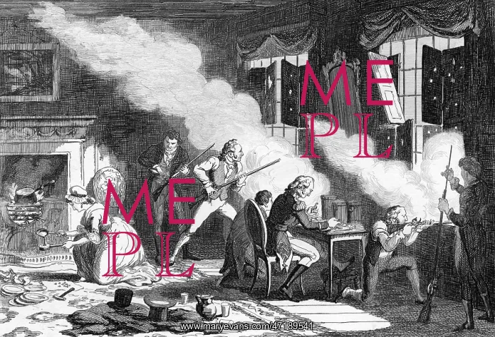  : 1798 MCGEE FIGHTS REBELS