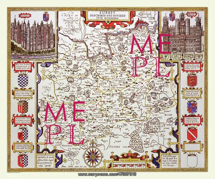 : 17th Century map of the County of Surrey, England : 17th Century map of the County of Surrey, England