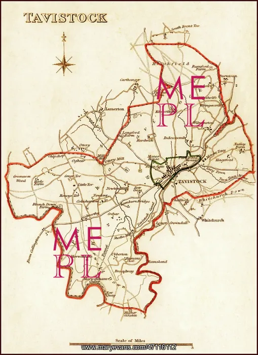 : 1832 Victorian Map of Tavistock : 1832 Victorian Map of Tavistock