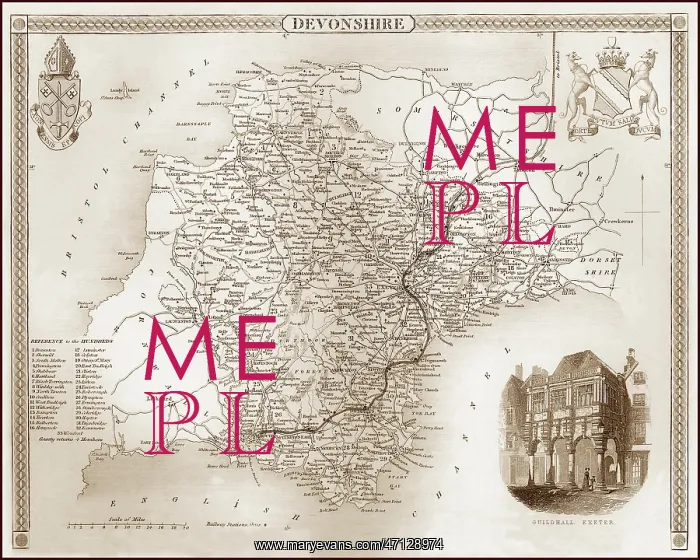 : 1840s Victorian Map of Devon : 1840s Victorian Map of Devon