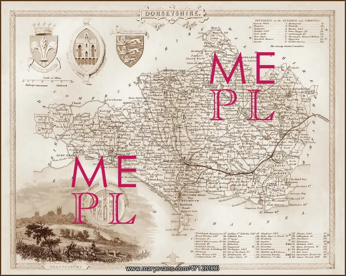 : 1840s Victorian Map of Dorset : 1840s Victorian Map of Dorset
