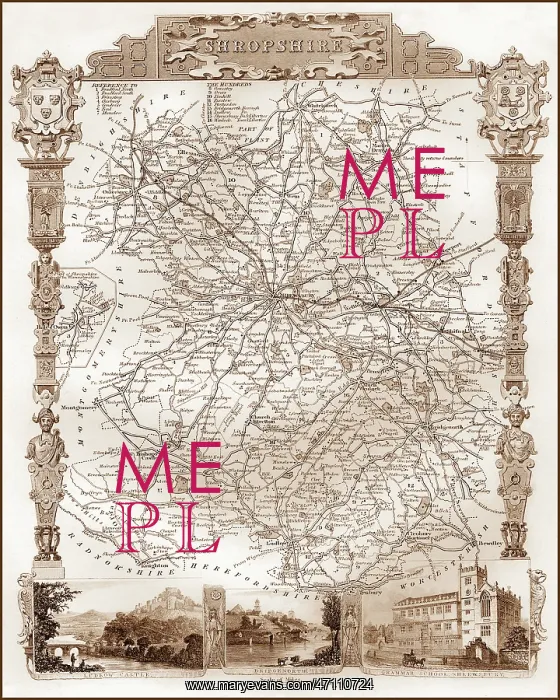 : 1840s Victorian Map of Shropshire : 1840s Victorian Map of Shropshire