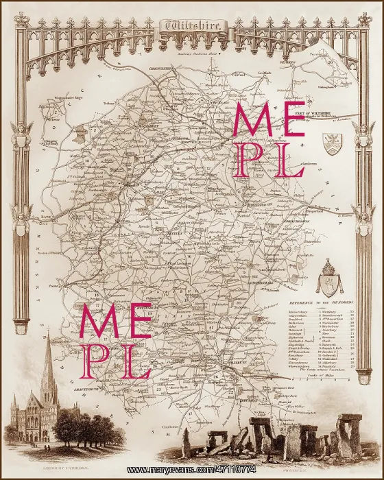 : 1840s Victorian Map of Wiltshire : 1840s Victorian Map of Wiltshire