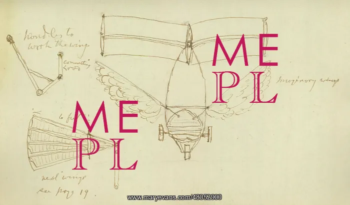 : 1849 boy-carrier showing the dihedral : 1849 boy-carrier showing the dihedral