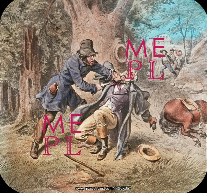 : 1860s 1870s temperance movement lantern slide : 1860s 1870s temperance movement lantern slide