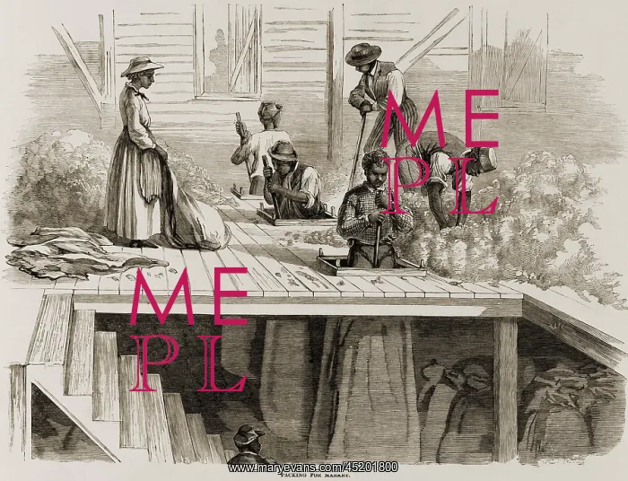 : Four 1869 illustrations show processing ? : Four 1869 illustrations show processing ?