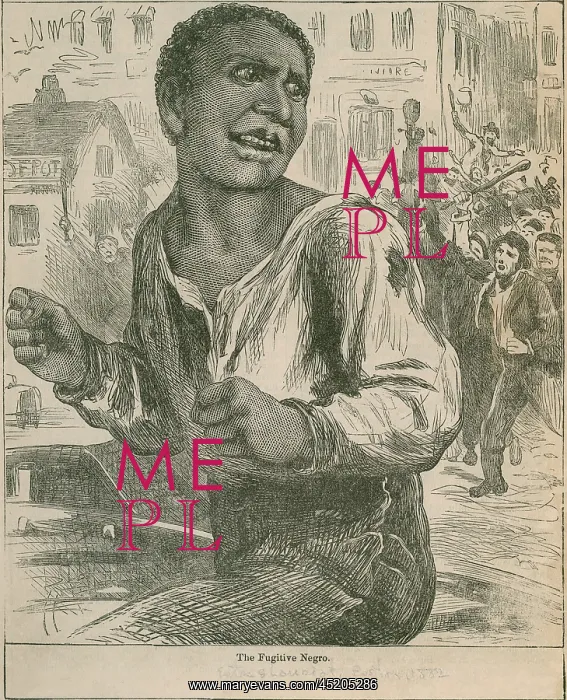 : An 1882 engraving entitled, THE FUGITIVE ? : An 1882 engraving entitled, THE FUGITIVE ?