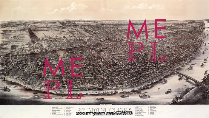 : 1896 View of Saint Louis : 1896 View of Saint Louis