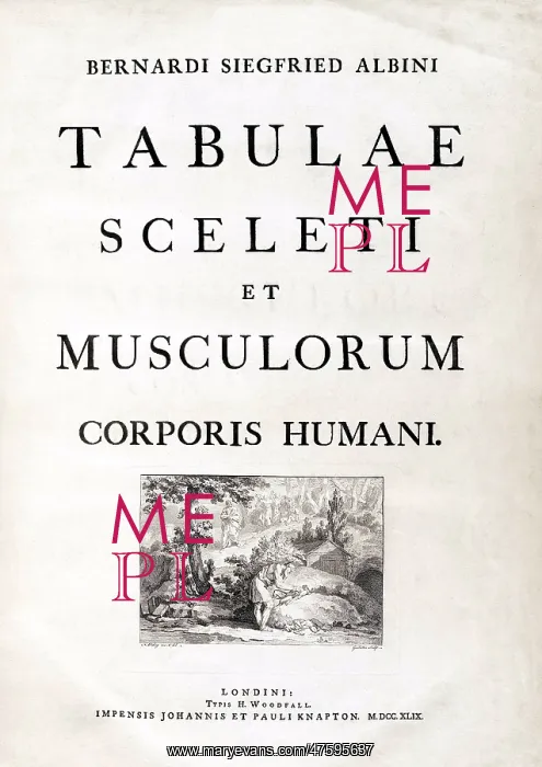 : 18th Century Anatomy Book : 18th Century Anatomy Book